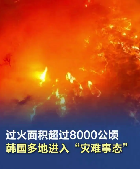 韩国加紧恢复火灾造成的全国性行政网络系统瘫