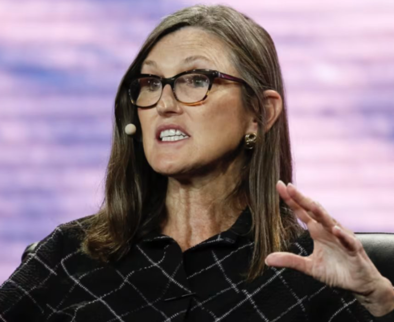 “木头姐”称特朗普新签证政策只是谈判策略：